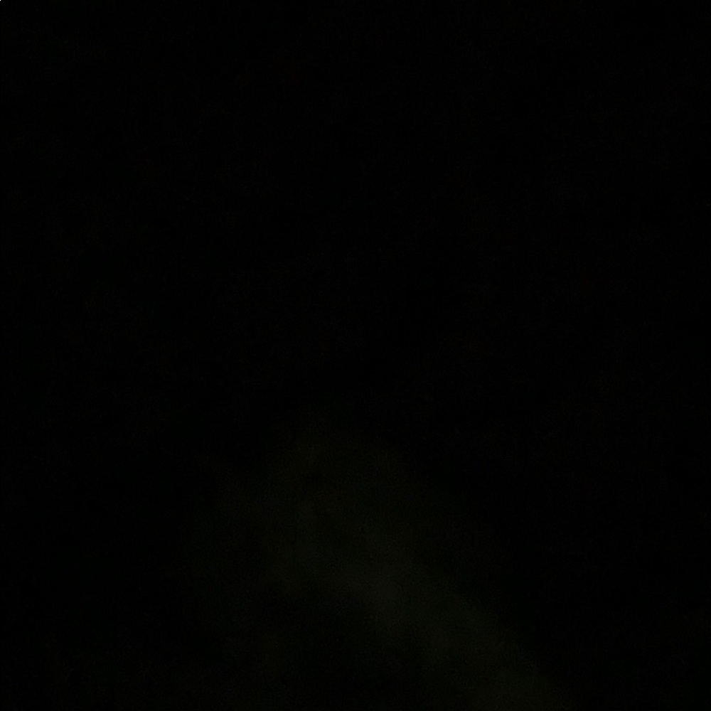 Meet your Posher, Vivian